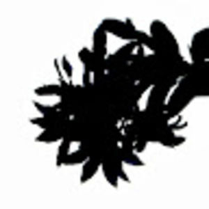 Meet your Posher, Simone